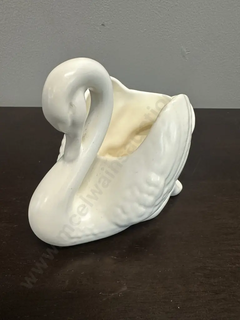 Small Cream Crown Lynn Swan (af) Image 1++