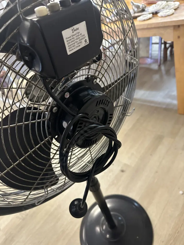 'Estella' Pedestal Fan  Image 1++