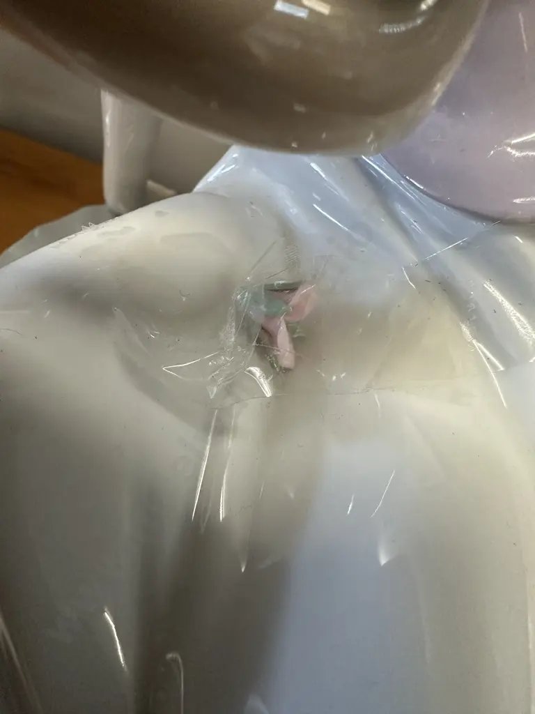 Nao Figurine Spring Reflections Damage to Flower  Image 1++