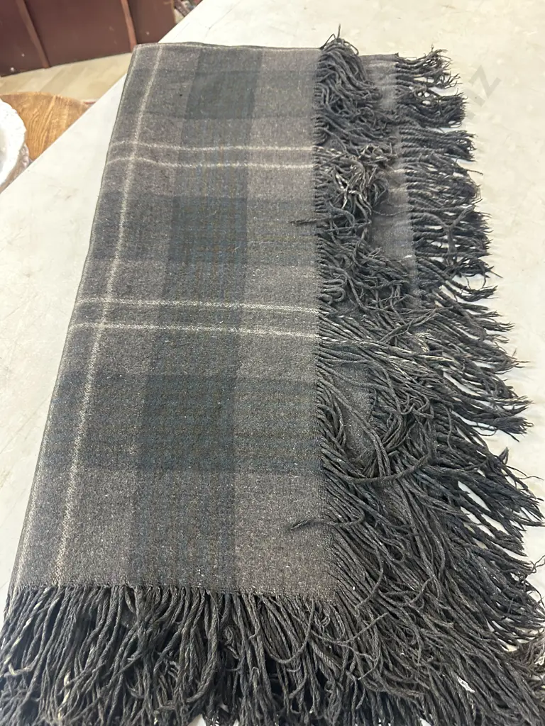 Antique Fringed Travel Rug Image 1++