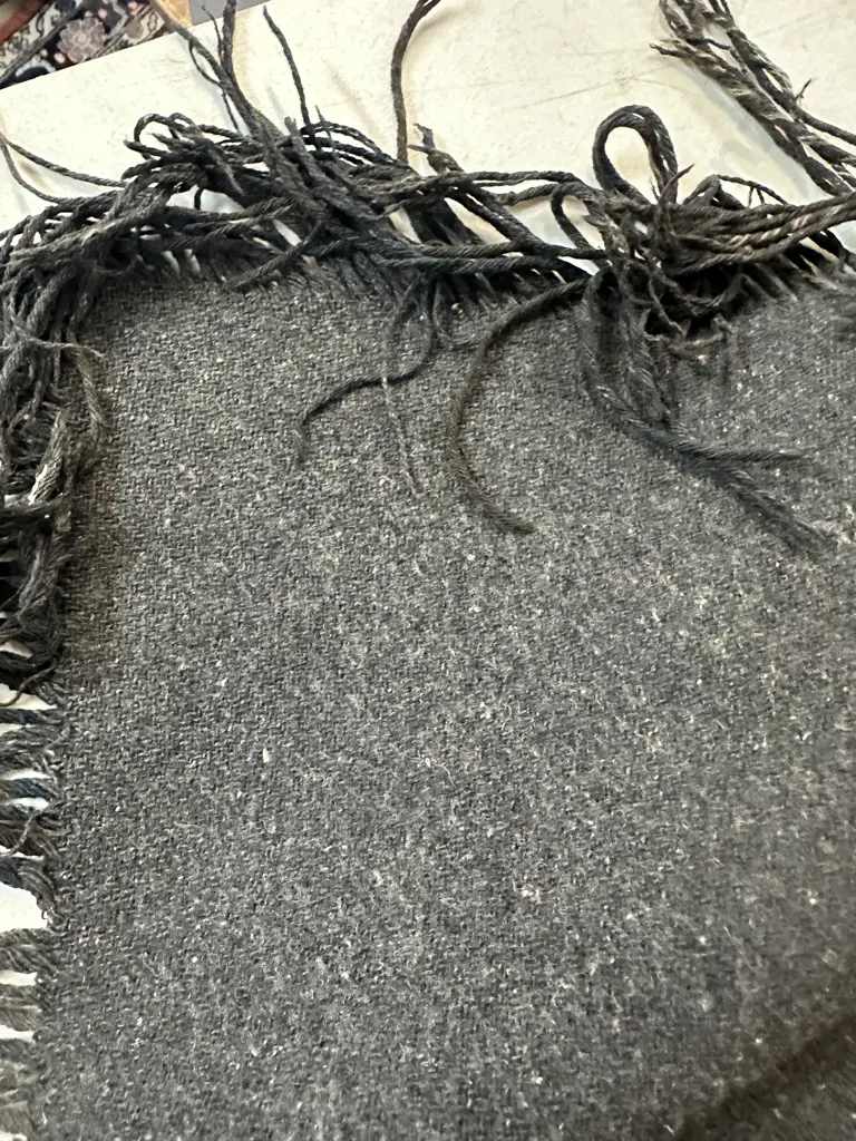 Antique Fringed Travel Rug Image 1++