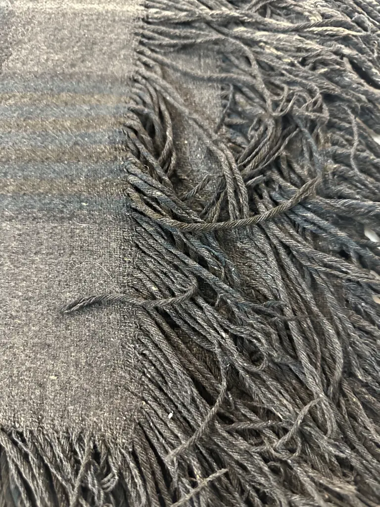 Antique Fringed Travel Rug Image 1++