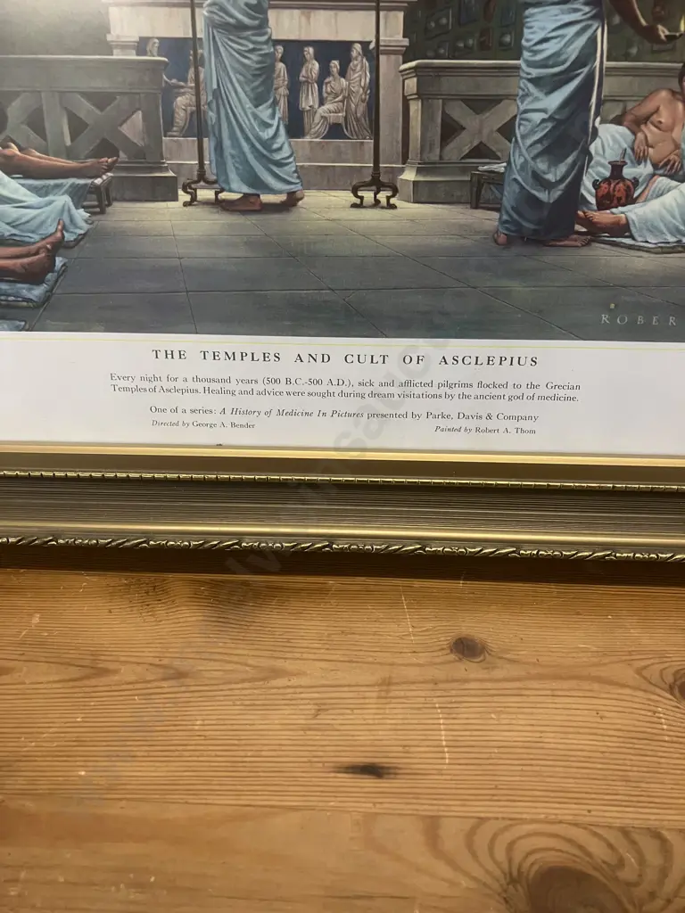 'The Temples and Cult of Asclepius'  A History of Medicine Robert Thom Framed Print. 41 x 49cm Image 1++