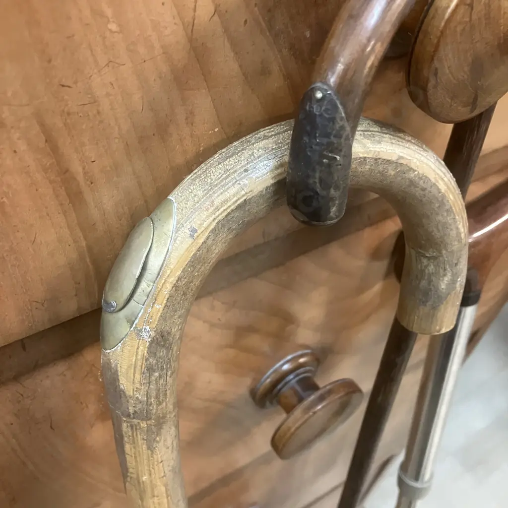 Walking Sticks x 3 Image 1++