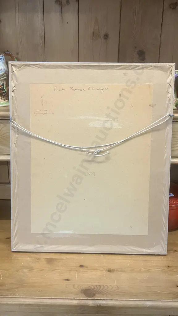 Broad-winged Hawk Framed Vintage Print. 49.5 x 41.5cm Image 1++