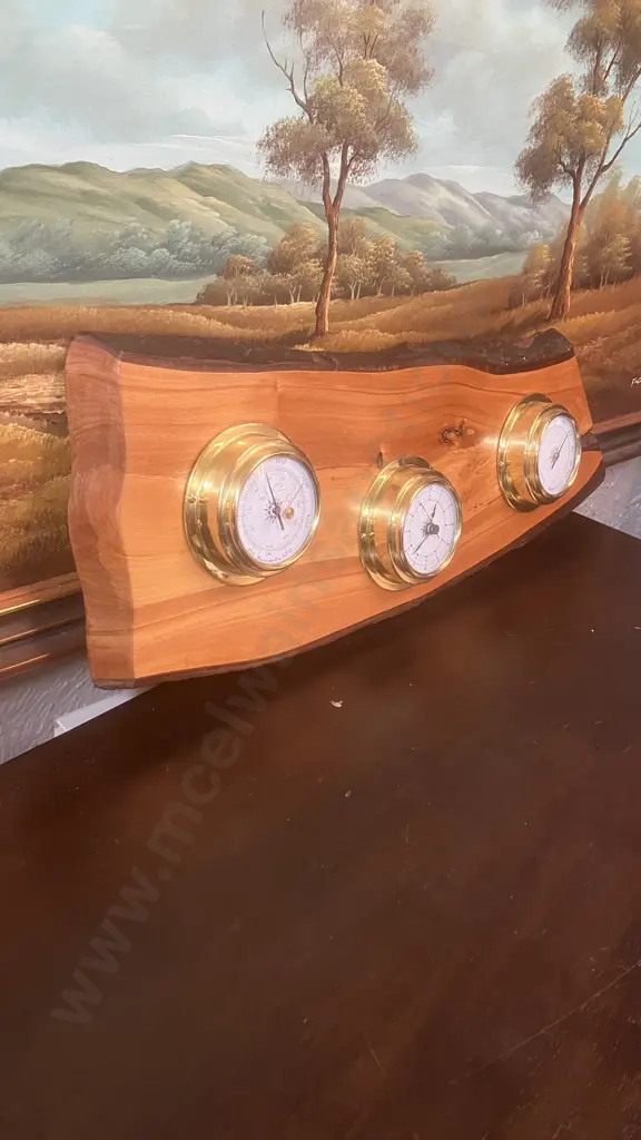 Weather Station Mounted On Timber. H20 W57 D5.5cm Image 1++