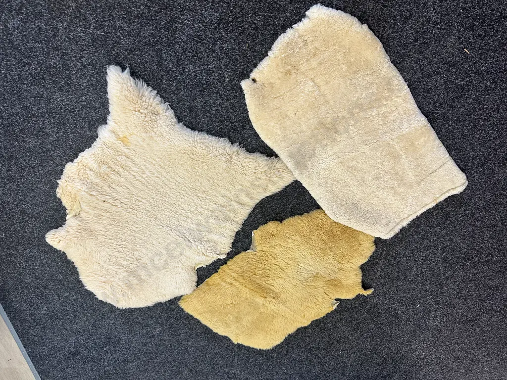 Sheepskin Floor Rug H90,W62cm & Smaller Pieces Of Shhepskin  Image 1++