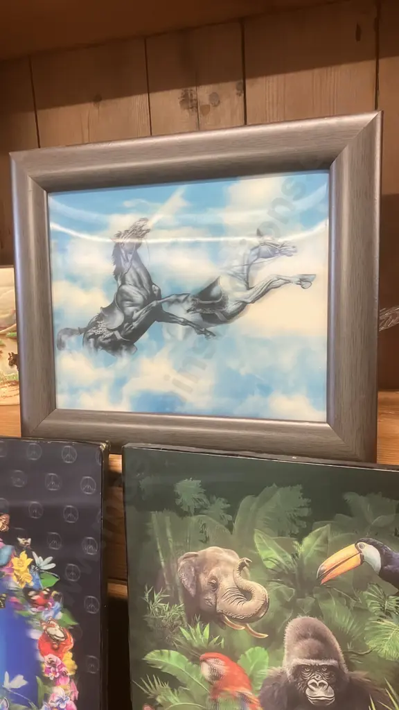 Lot of Five 3D Lenticular Pictures Image 1++