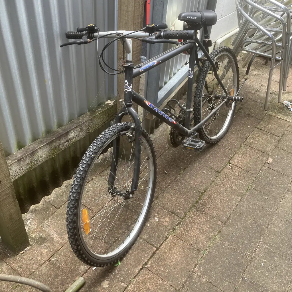 Radius Targa Bike With Helmet Image 1++