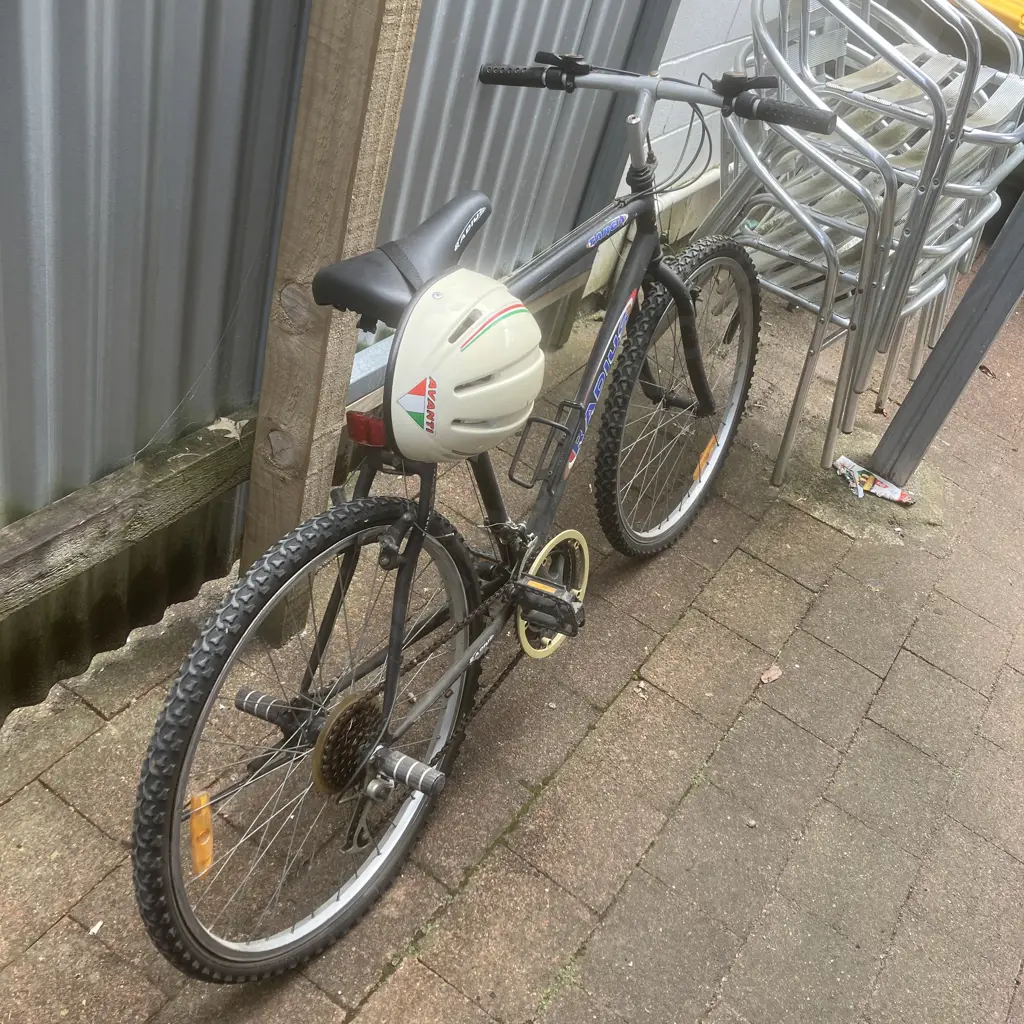 Radius Targa Bike With Helmet Image 1++