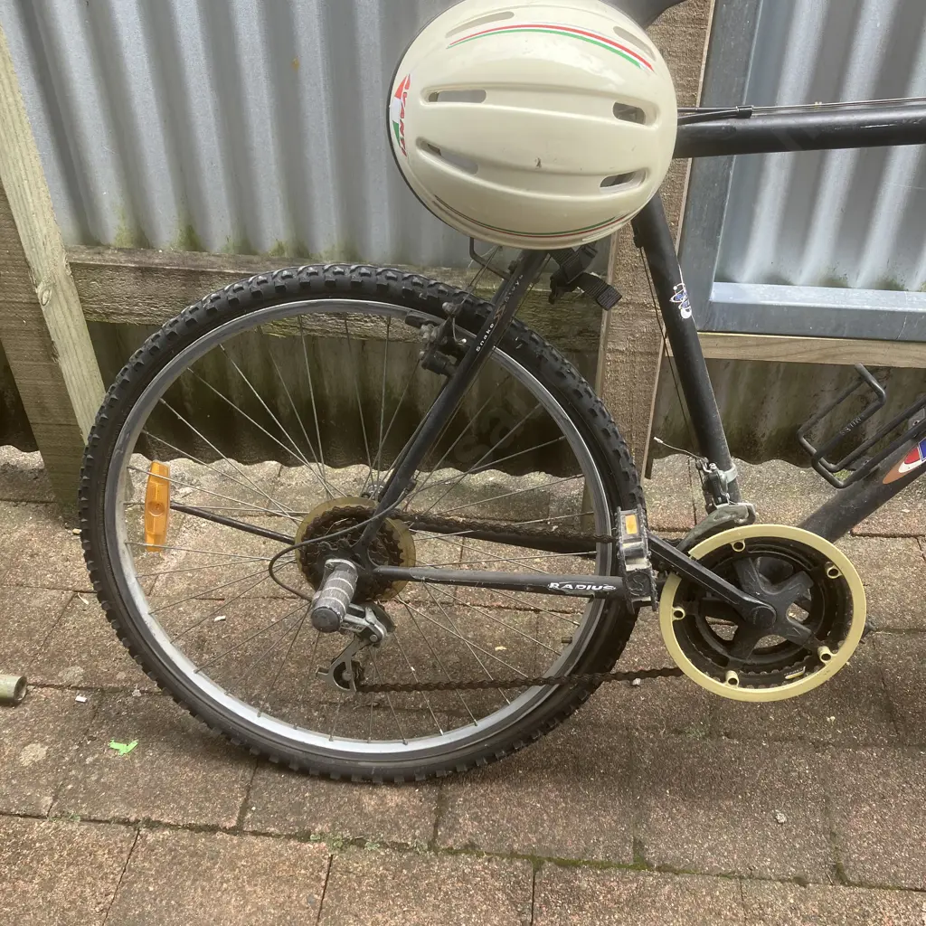 Radius Targa Bike With Helmet Image 1++