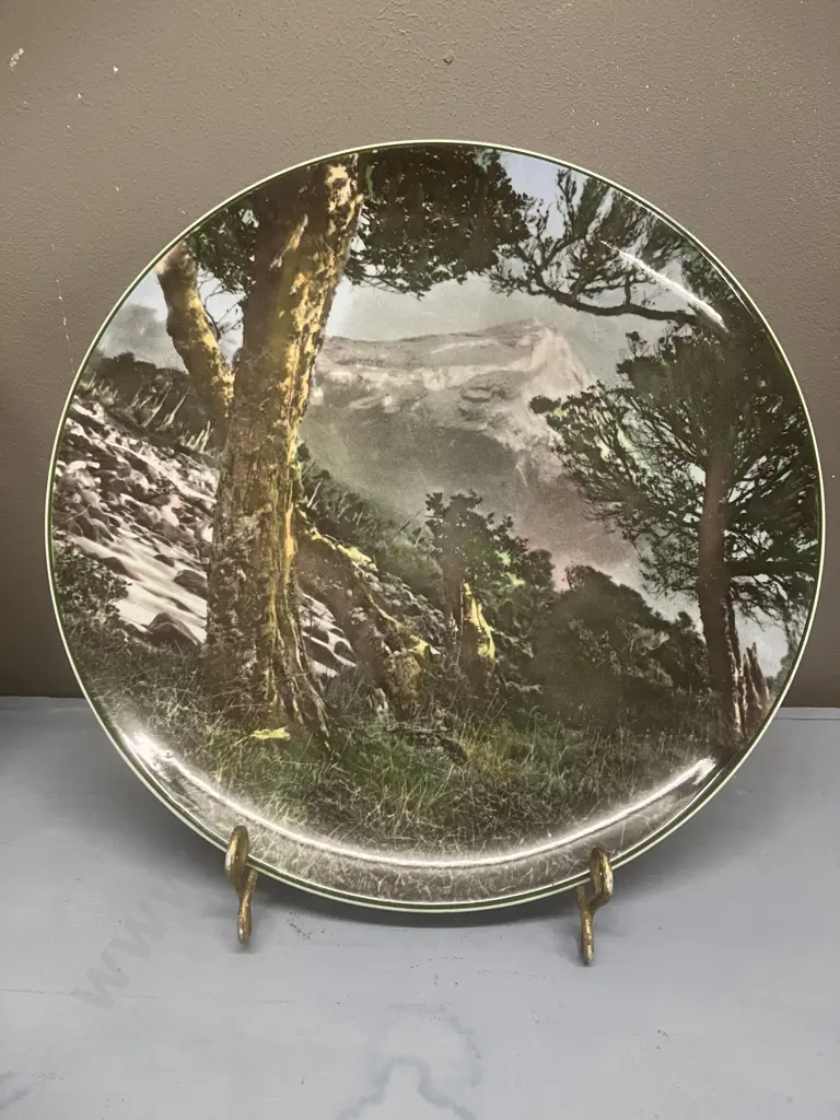 Royal Doulton Cabinet Plates Series Ware 'Scene at Lorne' D5816 c1938 & 'Mount Egmont' D6436 c1970s Image 1++