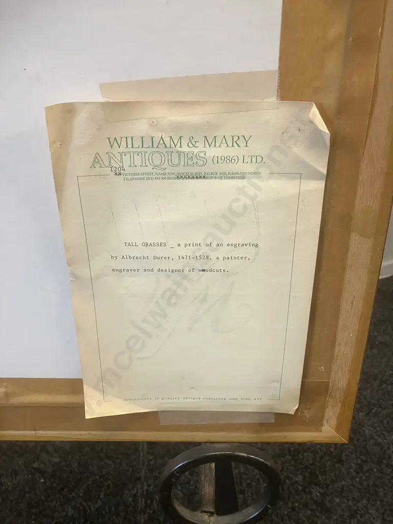 'Tall Grasses' - A Print of An Engraving by Albrecht Durer (1471-1528). 61 x 50cm Image 1++