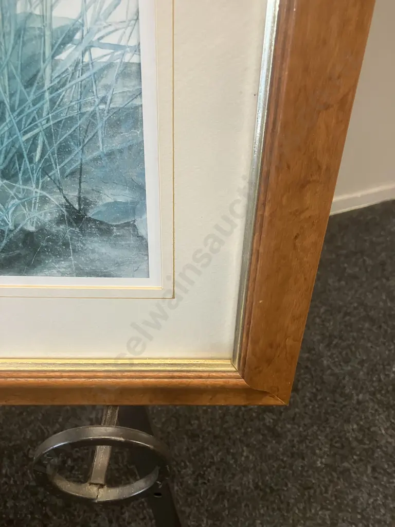 'Tall Grasses' - A Print of An Engraving by Albrecht Durer (1471-1528). 61 x 50cm Image 1++