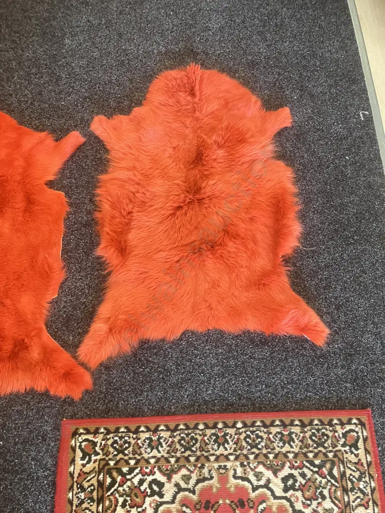 Pair of Orange Mulberi Dyed Natural Goat Hide Rugs. L92 & 94cm Image 1++