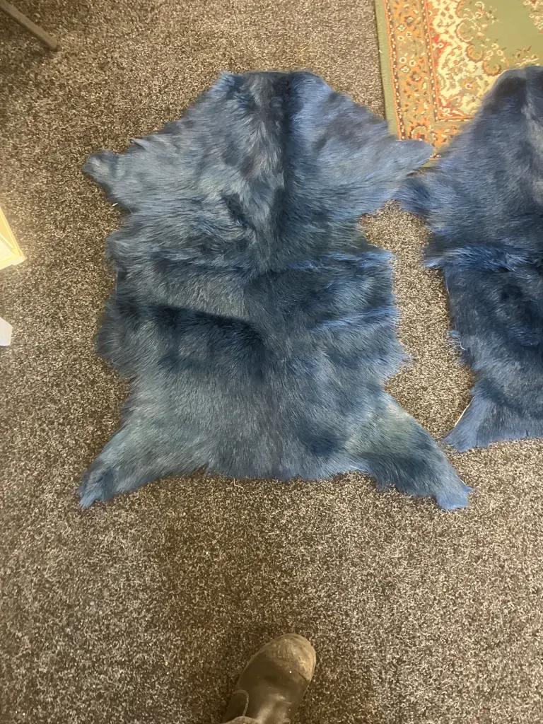 Pair of Blue Mulberi Dyed Natural Goat Hide Rugs. L88 & 98cm Image 1++