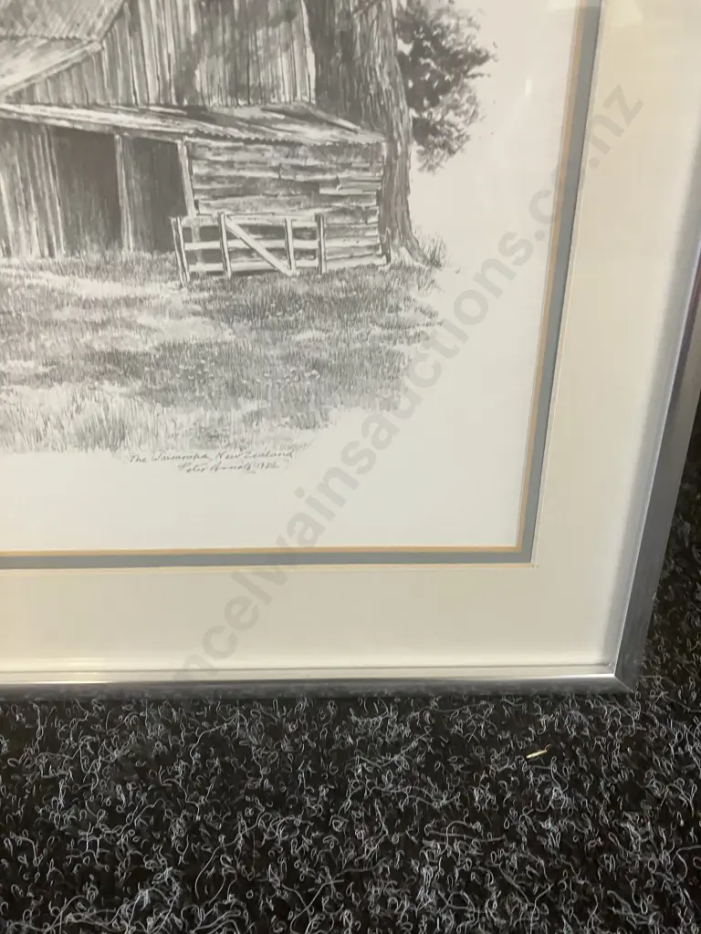 Peter Arnold 'The Wairarapa, New Zealand' Framed Art Print. 38 x 47.5cm Image 1++