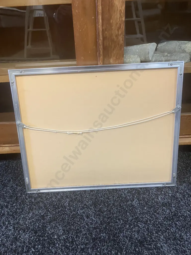 Peter Arnold 'The Wairarapa, New Zealand' Framed Art Print. 38 x 47.5cm Image 1++