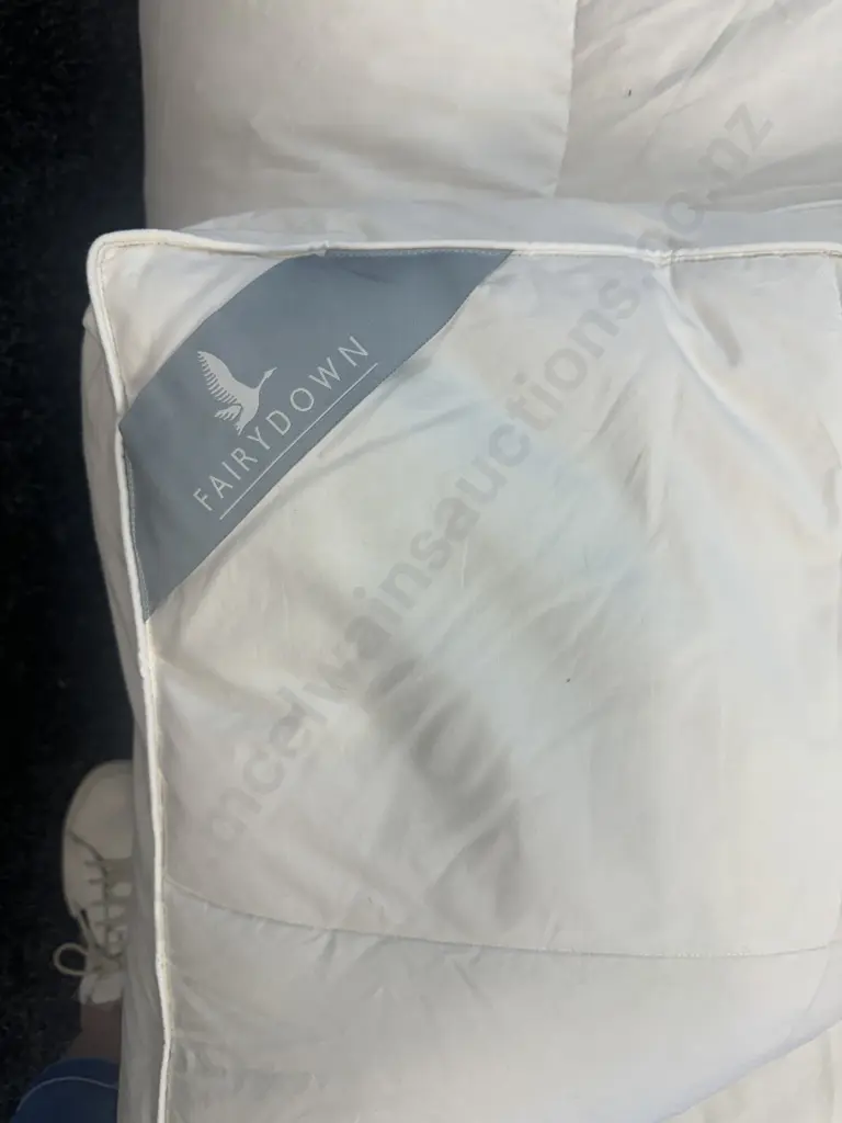 Queen Size Fairy Down Underlay & Feather & Down Mattress Protector Image 1++