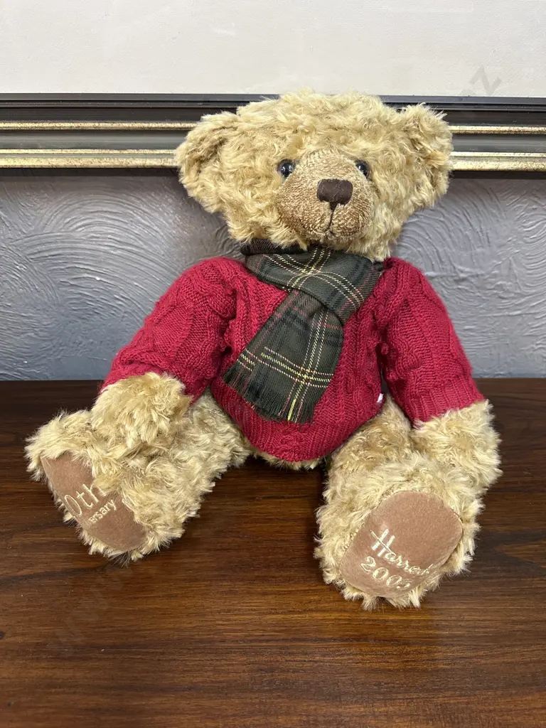 Harrods 2005 20th Anniversary Christmas Teddy Bear Named Nicolas A13870 Image 1++