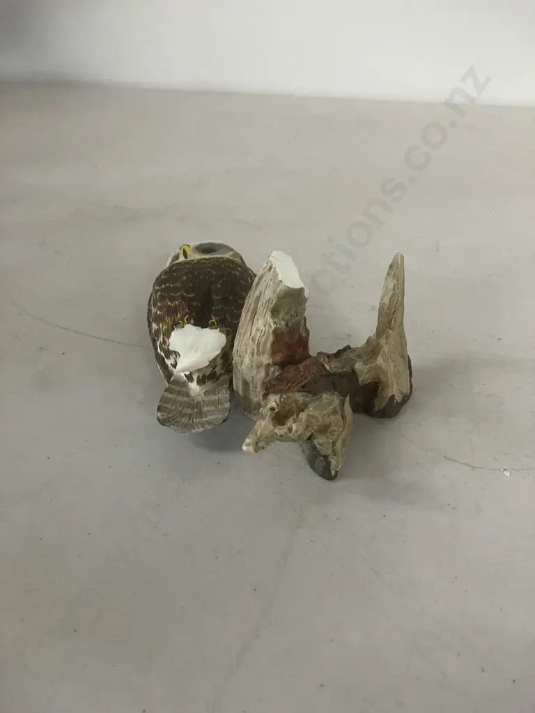 Collection of Ten New Zealand Bird Figurines With Felted Bases - Heights From 8 to 21cm Image 1++