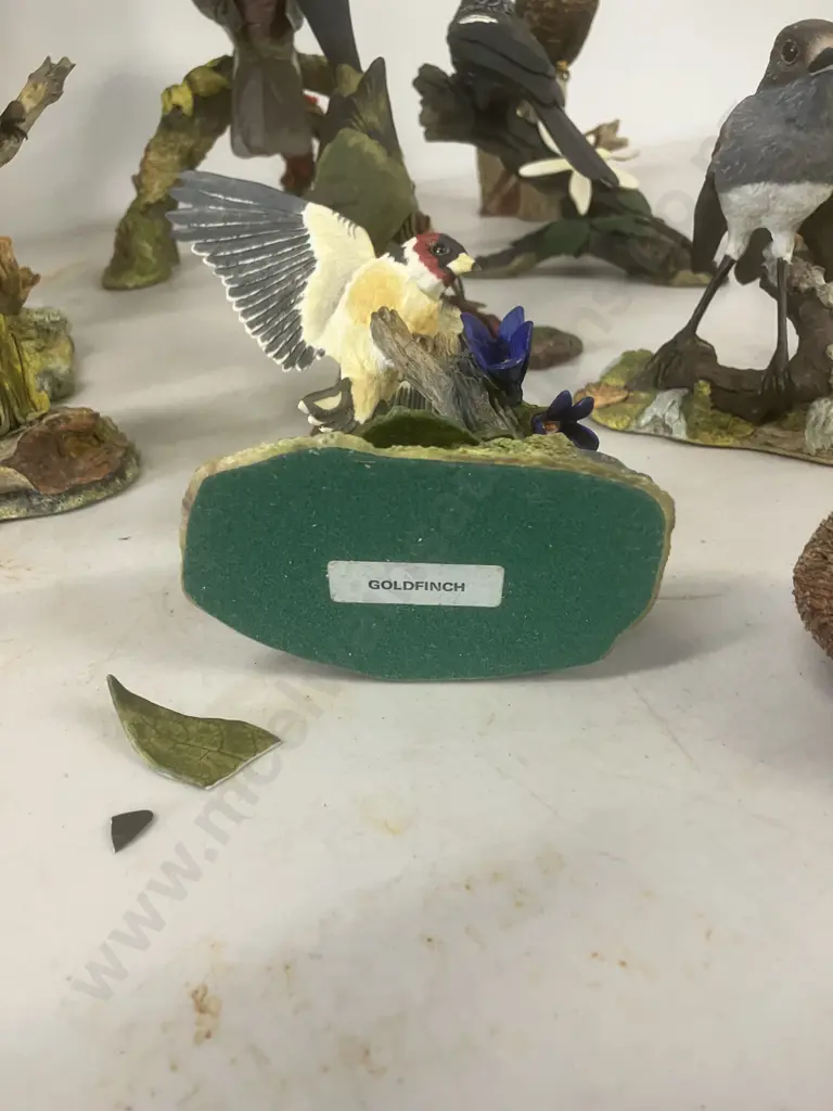 Collection of Ten New Zealand Bird Figurines With Felted Bases - Heights From 8 to 21cm Image 1++