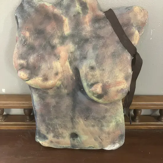 Female Torso Wall Art. 33 x 25cm