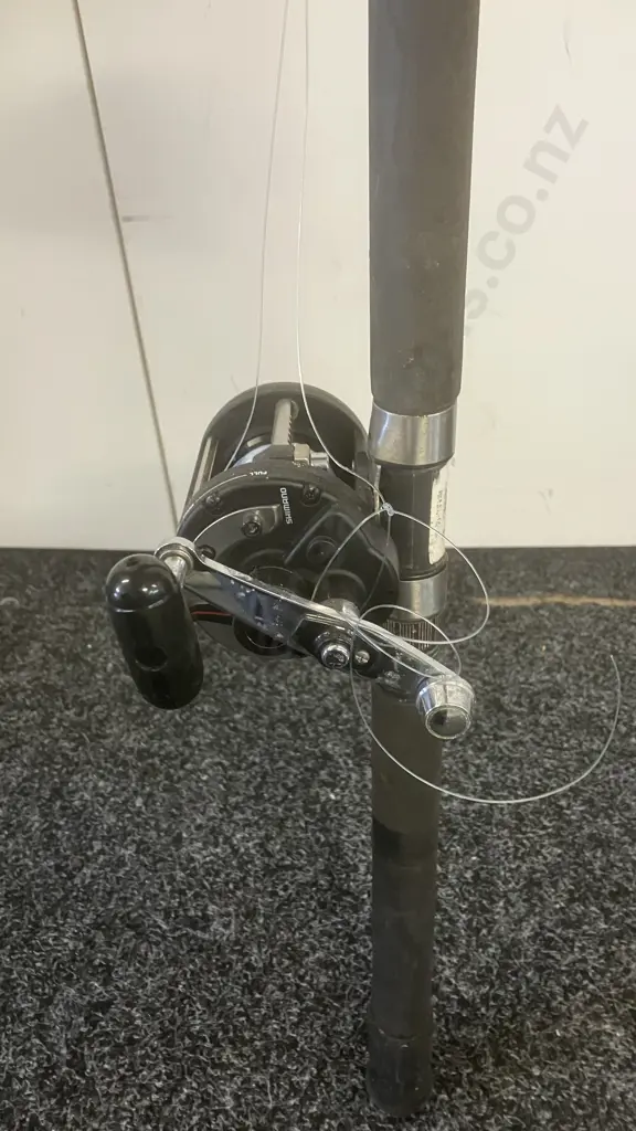 Shimano Charter Special TR2000 Lever Drag & Aqua Tip 66 Boat 6-10Kg, 1 Piece Image 1++