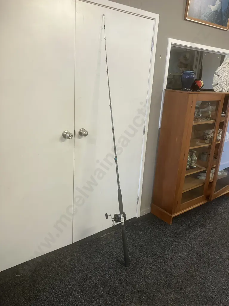 Shimano Charter Special TR2000 Lever Drag & Aqua Tip 66 Boat 6-10Kg, 1 Piece Image 1++