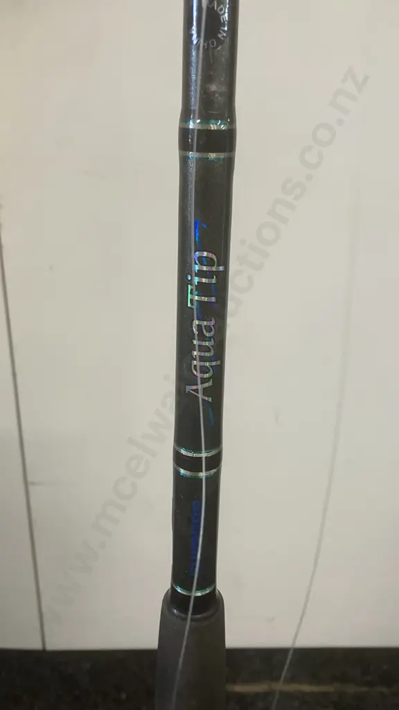 Shimano Charter Special TR2000 Lever Drag & Aqua Tip 66 Boat 6-10Kg, 1 Piece Image 1++