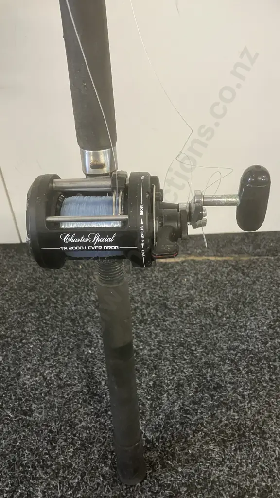 Shimano Charter Special TR2000 Lever Drag & Aqua Tip 66 Boat 6-10Kg, 1 Piece Image 1++