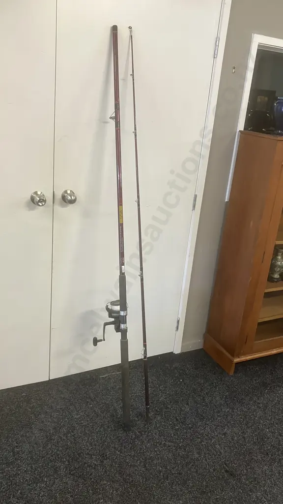 Daiwa DS7000 Hi-Speed Reel & Okuma 38.1210 Tubular Fibreglass, Surf 12' 30-80gr. 2 Piece Image 1++