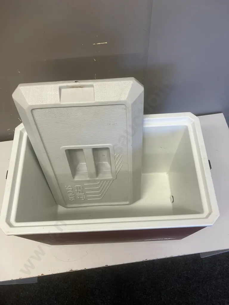 Vintage ESKY Sports Chilly Bin. H37.5 W46 D28cm Image 1++
