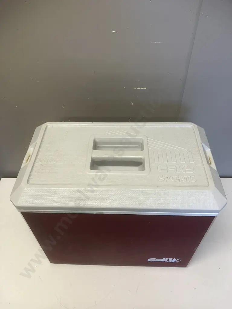 Vintage ESKY Sports Chilly Bin. H37.5 W46 D28cm Image 1++