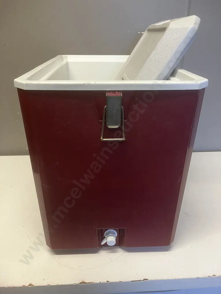 Vintage ESKY Sports Chilly Bin. H37.5 W46 D28cm Image 1++