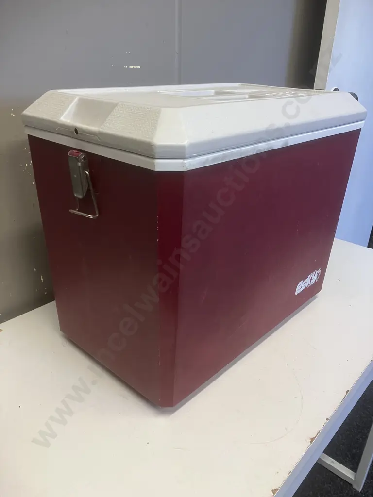 Vintage ESKY Sports Chilly Bin. H37.5 W46 D28cm Image 1++
