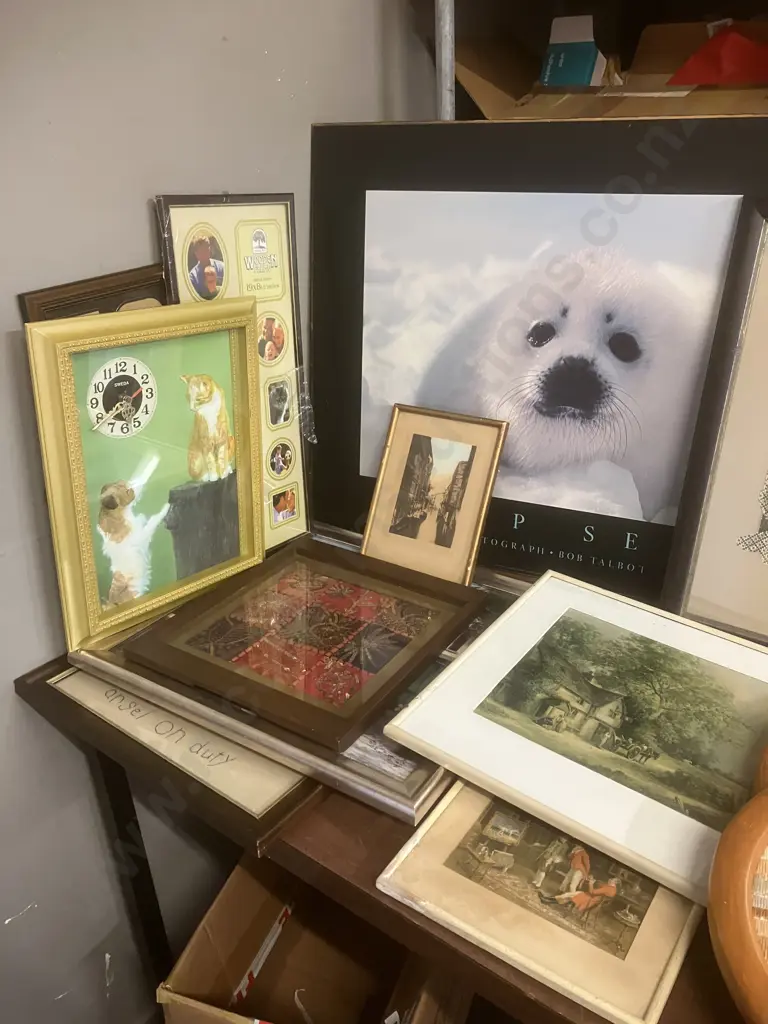 Large Harp Seal Print, Assorted Prints, Frames Etc Image 1++