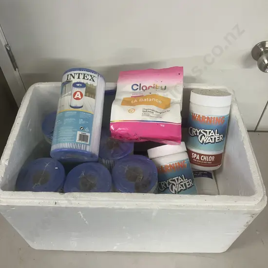 Intex Filter Cartridges & Spa Pool Chemicals