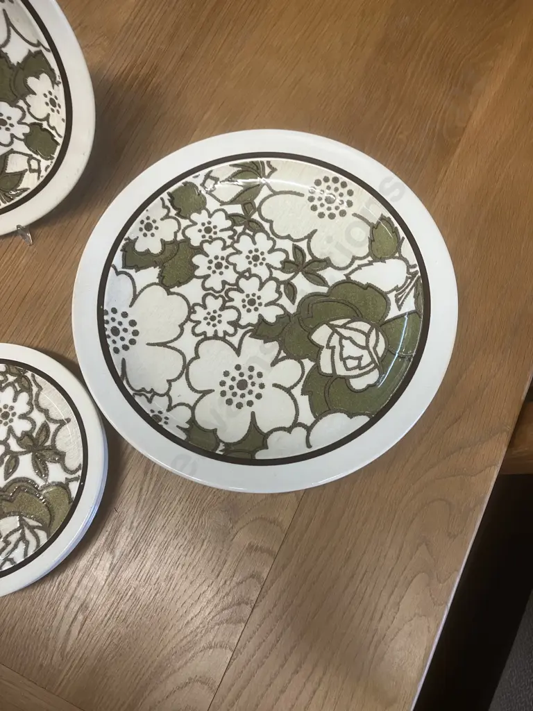 Crown Lynn Savannah D422 Retro 6 x Plates, 6 x Bowls & 3 x Saucers - Green With Brown Outline Image 1++