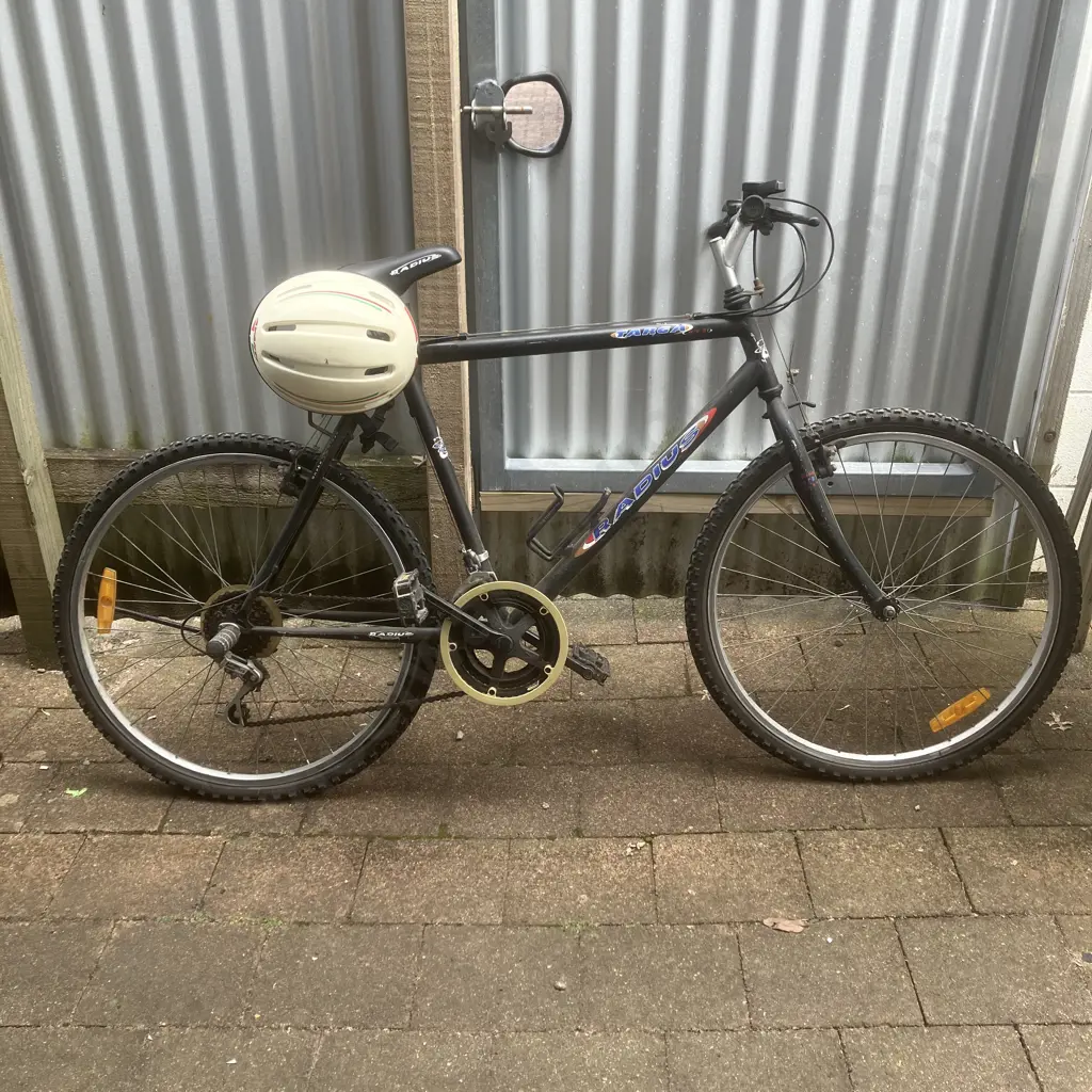 Radius Targa Bike With Helmet Image 1++