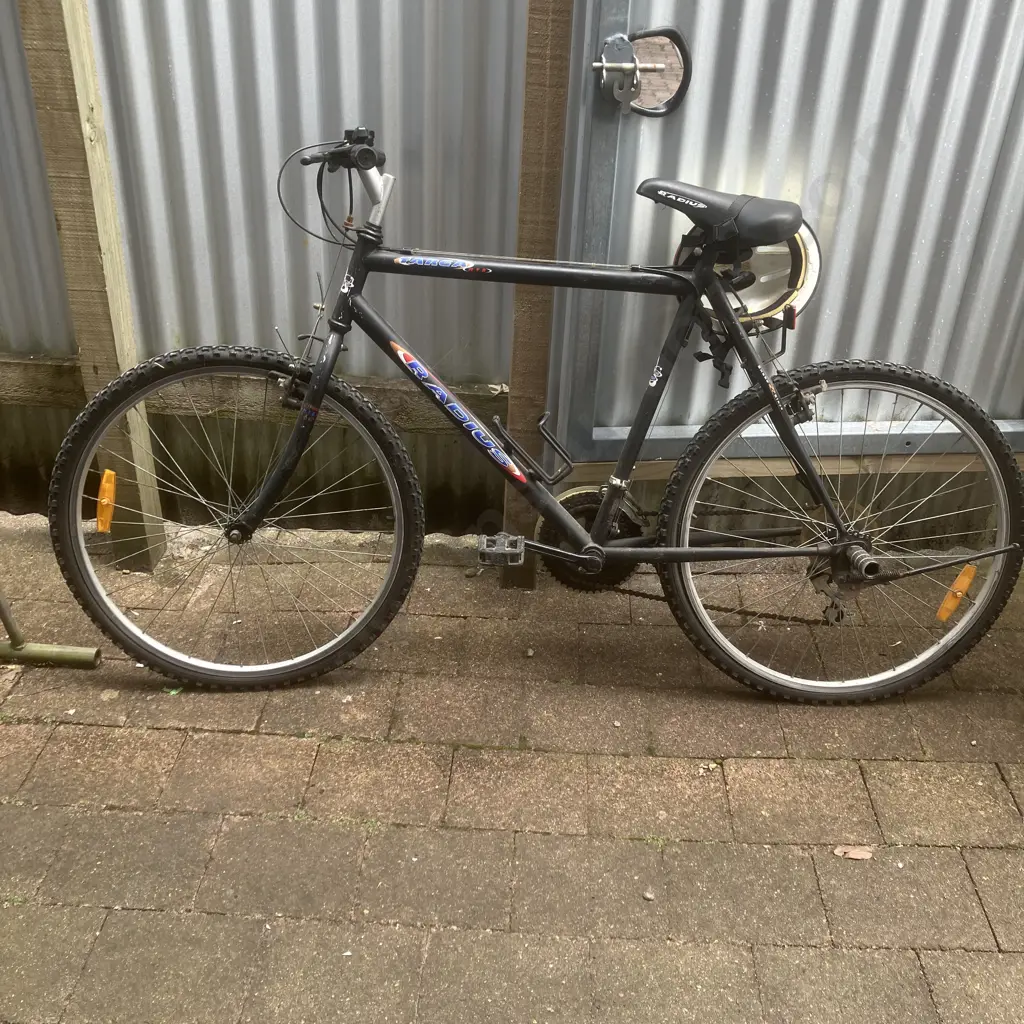 Radius Targa Bike With Helmet Image 1++