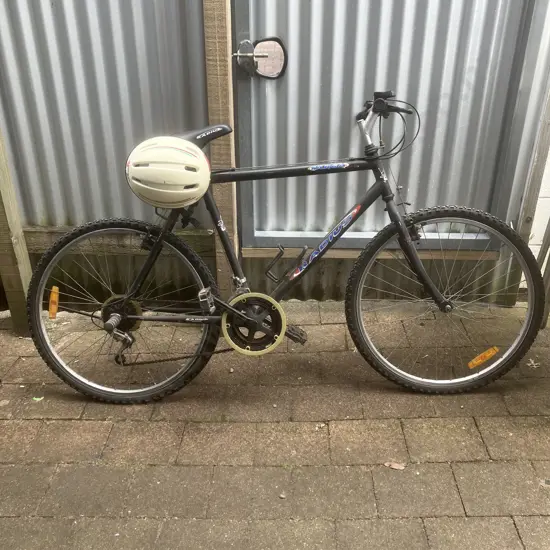 Radius Targa Bike With Helmet