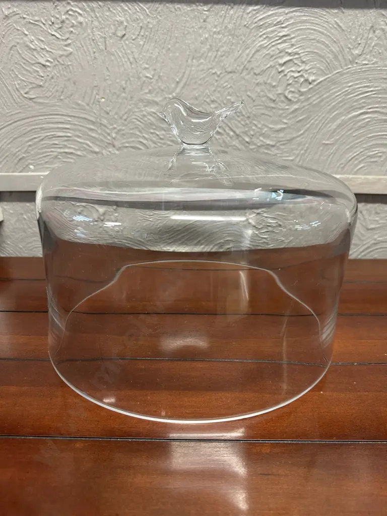 Nood Birdie Clear Glass Cake Dome 30cm. Image 1++