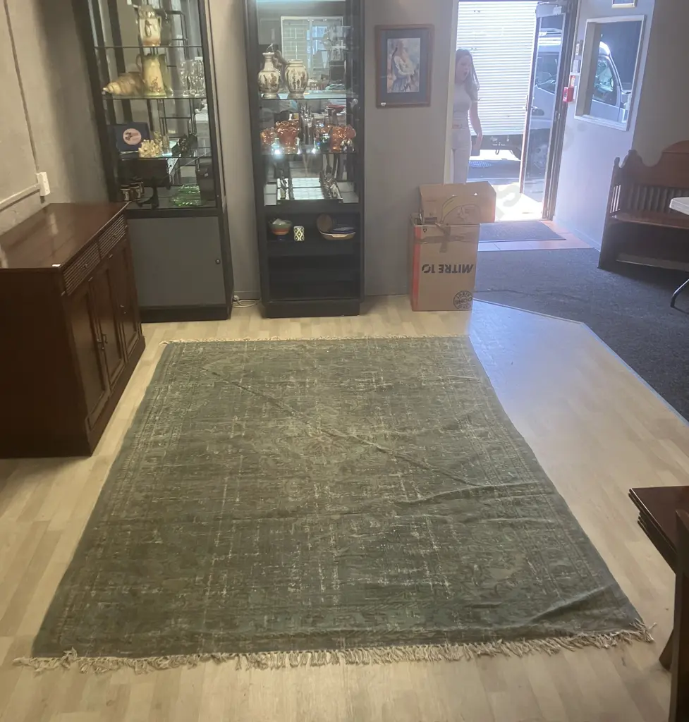 LUCA Green Toned Area Rug. 296 x 198cm Image 1++