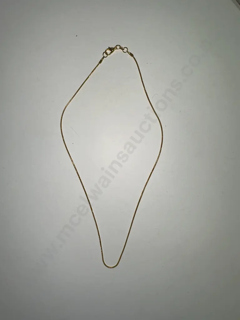 Gold Coloured Fine Chain Necklace Image 1++