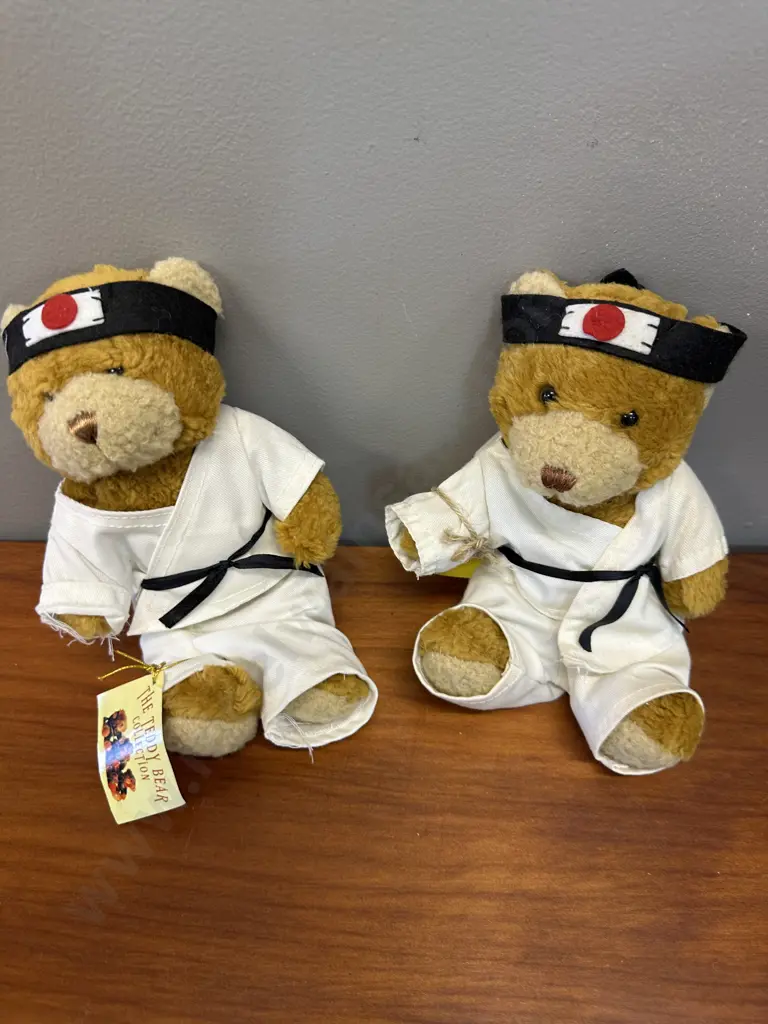 The Teddy Bear Collection 'Kim The Karate Expert' Bears x2  Image 1++