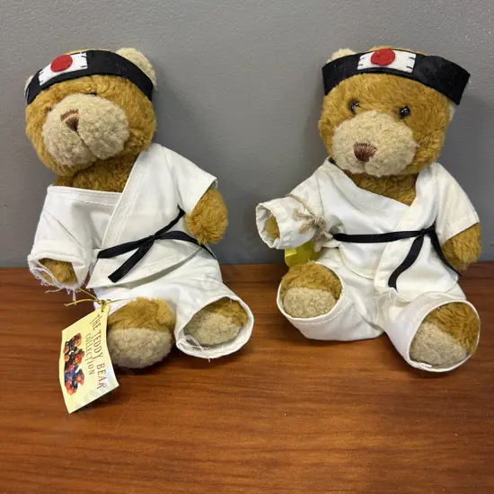 The Teddy Bear Collection 'Kim The Karate Expert' Bears x2 