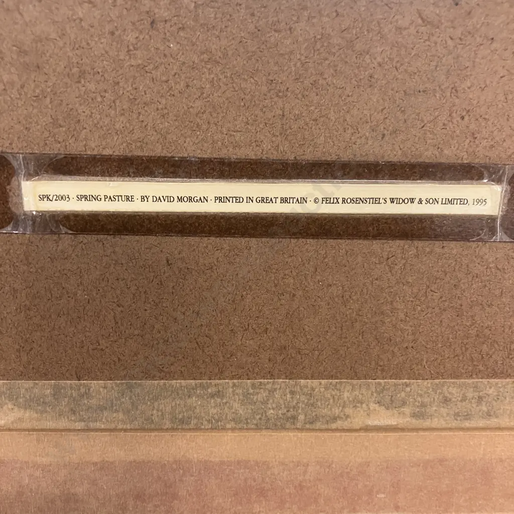 Spring Pasture by David Morgan. Printed Felix Rosenstiel's Widow & Son, Great Britain 1995. Framed 40 x 60cm Image 1++