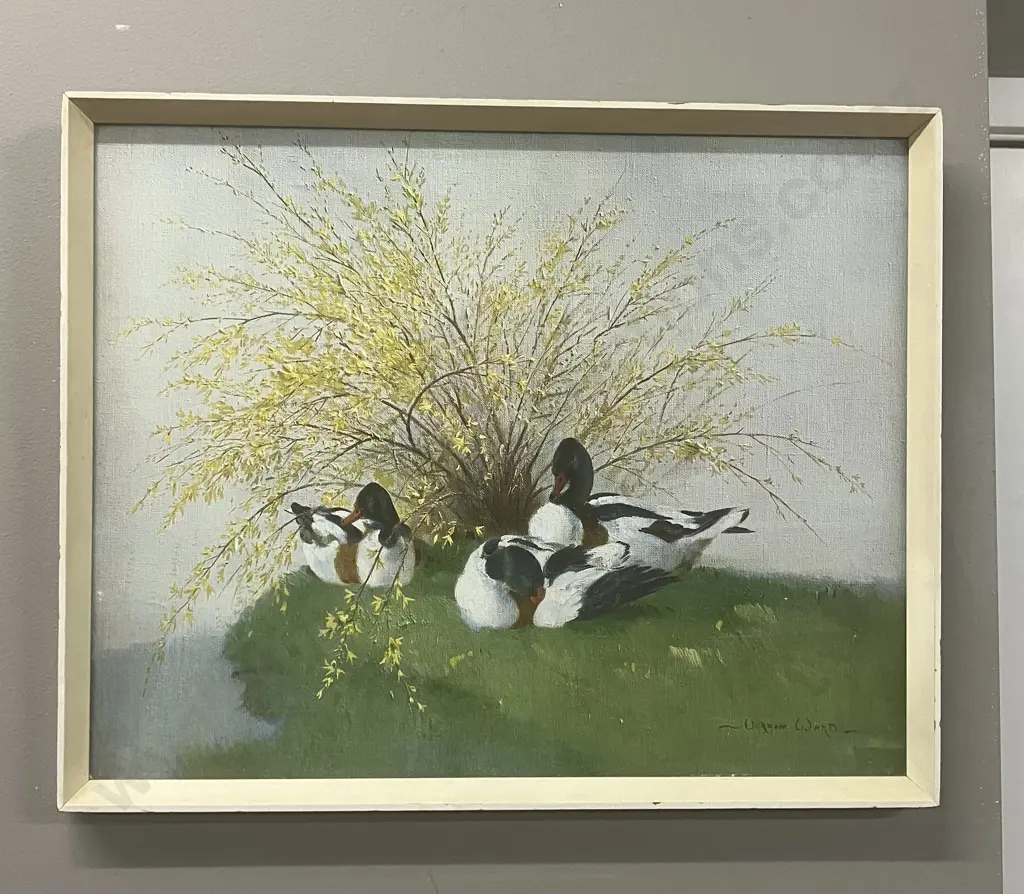 Vernon Ward "Shelduck & Forsythia" Mid Century Art Print, Framed 34 x 42cm Image 1++