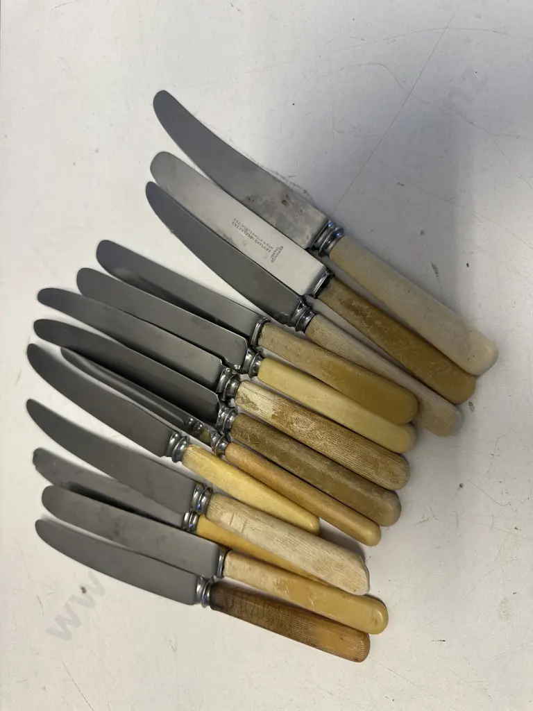 Collection Of Bone Handled Knives Including Sheffield Image 1++